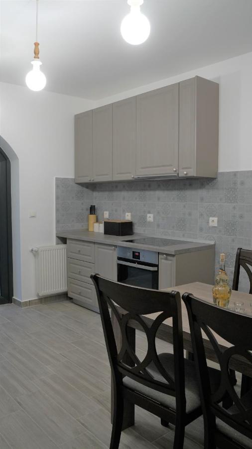 Pensiunea Maramures Guesthouse Viseu de Jos Eksteriør billede