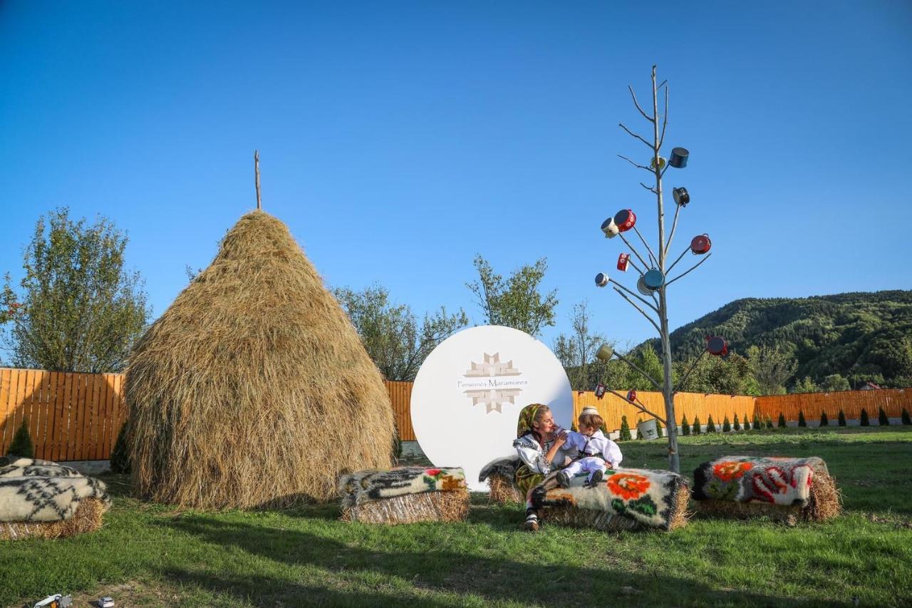 Pensiunea Maramures Guesthouse Viseu de Jos Eksteriør billede