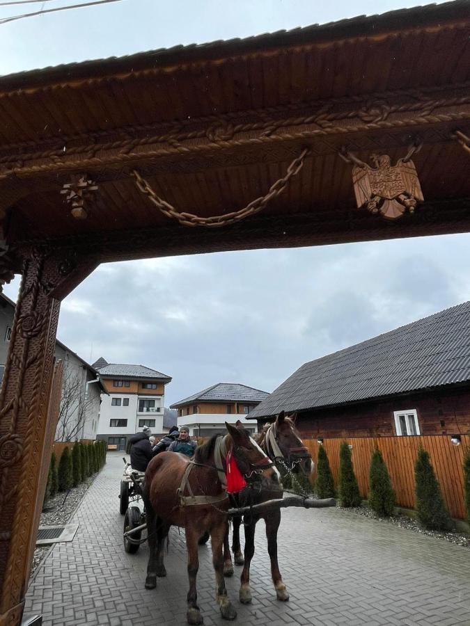Pensiunea Maramures Guesthouse Viseu de Jos Eksteriør billede