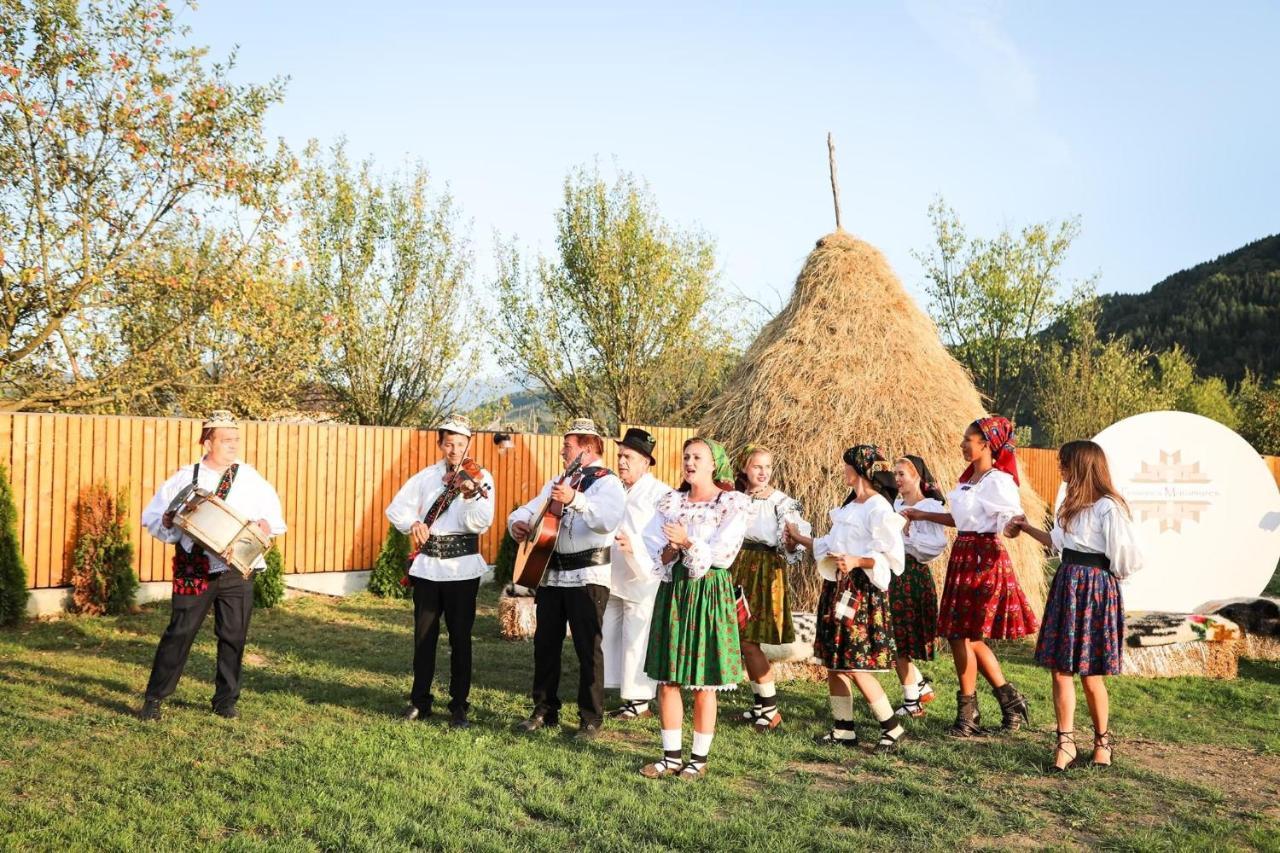 Pensiunea Maramures Guesthouse Viseu de Jos Eksteriør billede