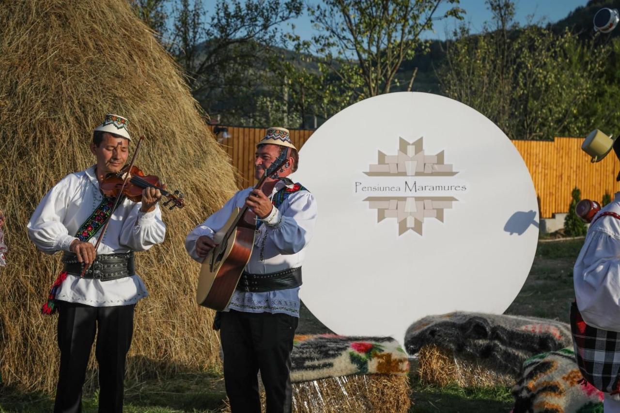 Pensiunea Maramures Guesthouse Viseu de Jos Eksteriør billede